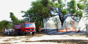 Disaster Relief