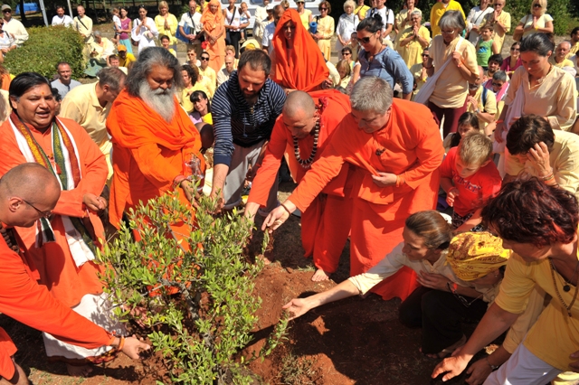 21 planting the olice tree