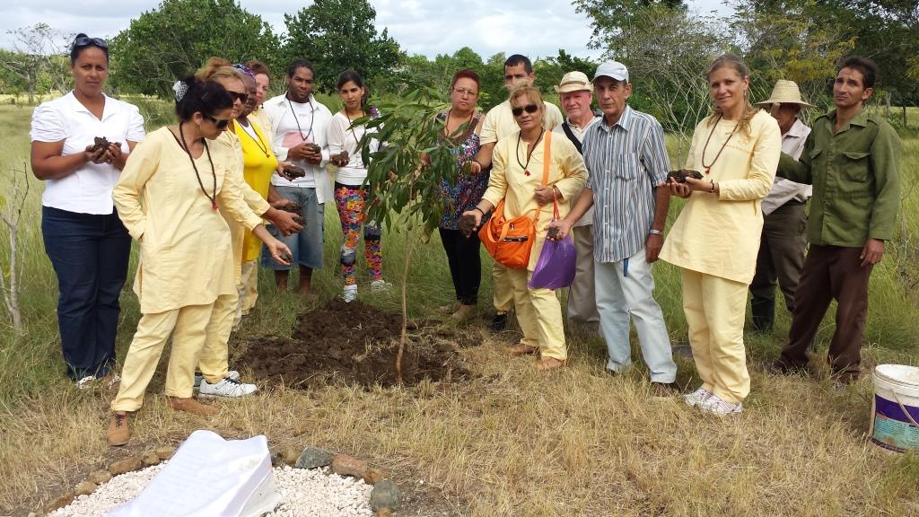 The group putting earth