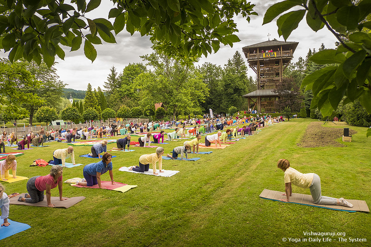 Yoga Festival in Chakra park, Slovenia