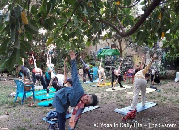 idy barcelona   garden silence 6