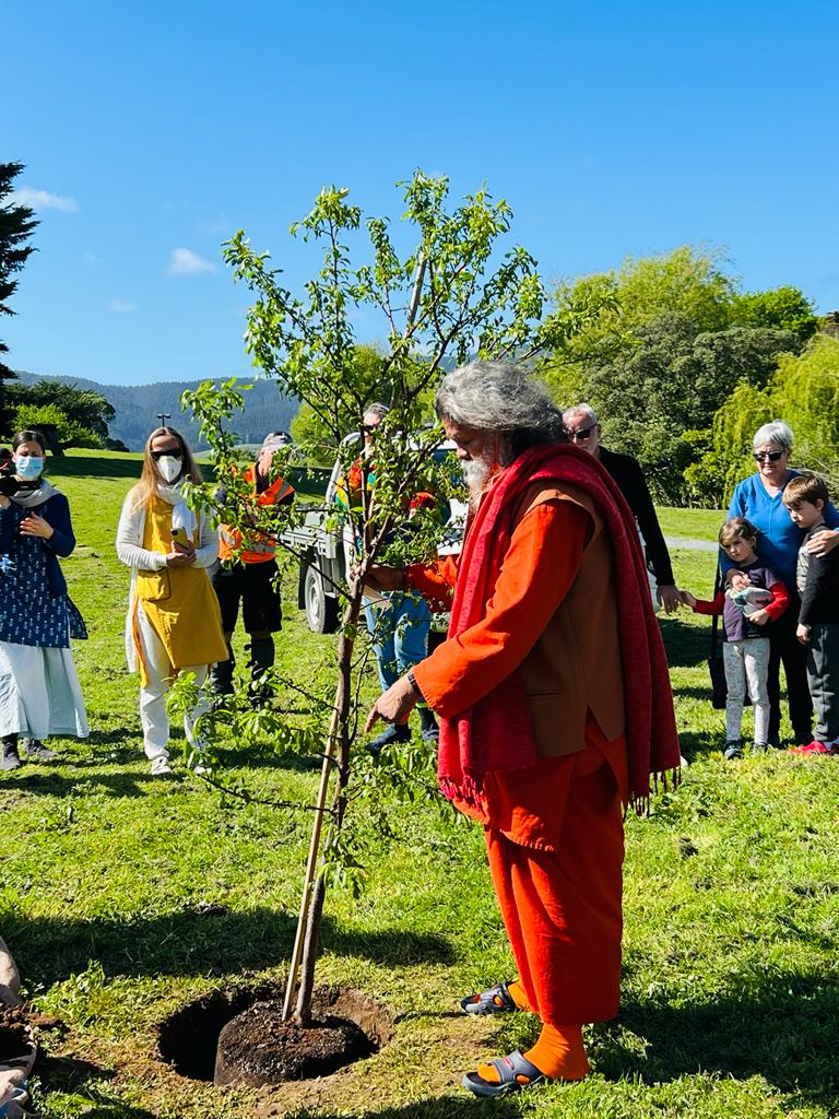 2022 10 03 raumati beach weka park new zealand 2b