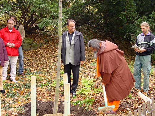 Planting of the World Peace Tree in Vienna