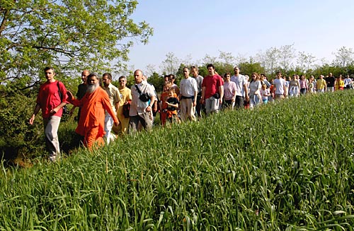 Walks in the beautiful Istrian countryside