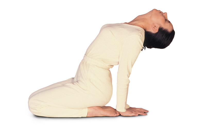 A Backbend Sequence To Improve Shoulder Mobility - Yoga 15