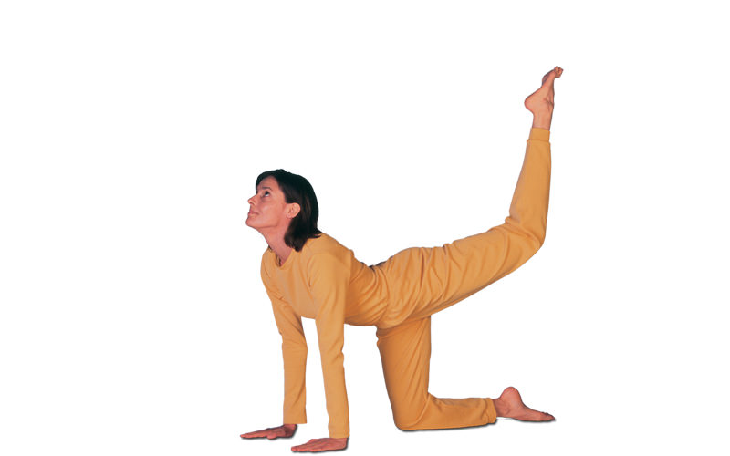 How to do Vyaghrasana (Tiger Pose) Its Benefits & Contraindications