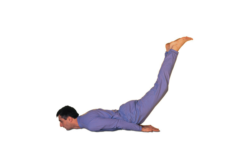 A big set of yoga poses with names asanas Vector Image