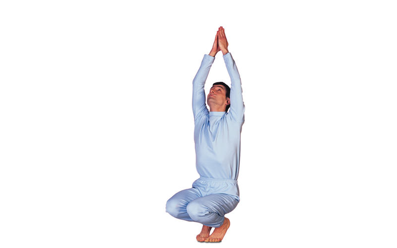 Tiger Pose (Vyaghrasana): Steps, Benefits & Precautions - Fitsri Yoga